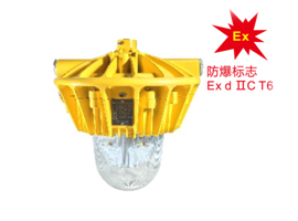 ZY-NT-BAY8110 LED泛光燈